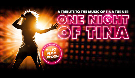 One Night of Tina - 28. Januar 2024